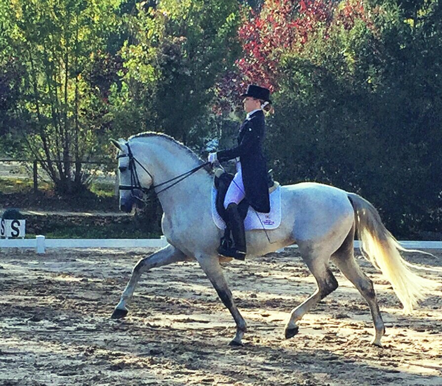 Resultados Finales Campeonato Navarro de Doma Clásica 2015